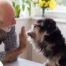 A senior man “high-fives” his pet dog, showing the type of close relationship professional caregivers should be aware of when caring for clients.