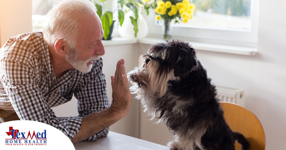 A senior man “high-fives” his pet dog, showing the type of close relationship professional caregivers should be aware of when caring for clients.